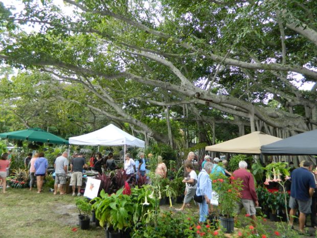 Edison and Ford Winter Estates Fall Garden Festival 2021
